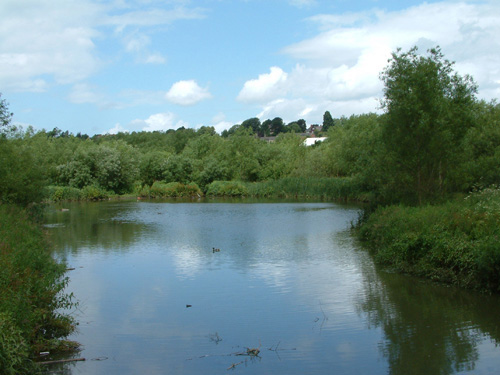 picture of a lake at Kings Norton Nature Reserve