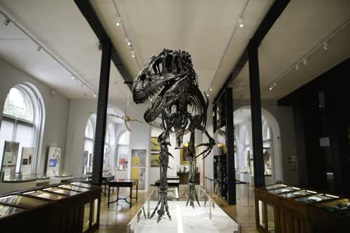 Lapworth Museum of Geology