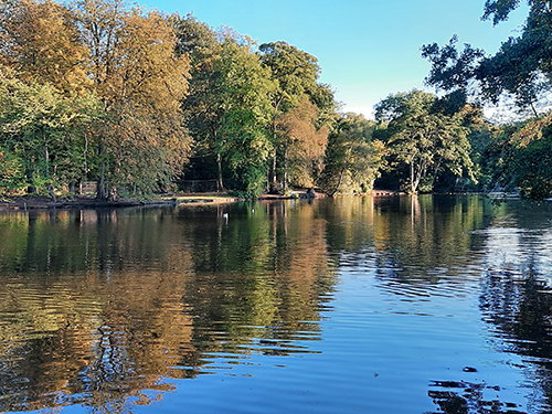 view of pool at manor farm park