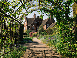 plants growing up a metal arch framing a view of the house